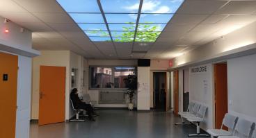 skylight